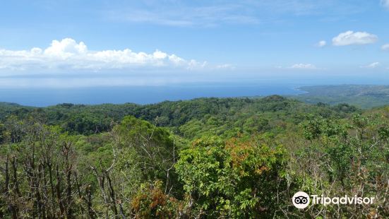 Mt. Bandilaan National Park