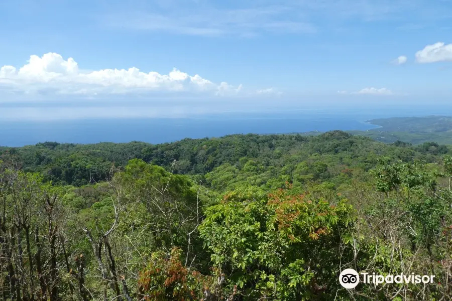 Mt. Bandilaan National Park