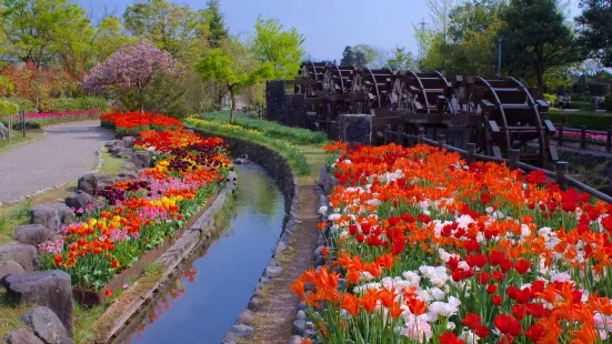 Tonami Tulip Park