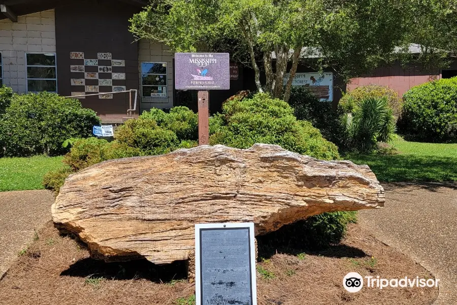 Mississippi Petrified Forest