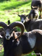 Ecological park Serra da Lousã