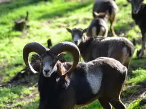 Ecological park Serra da Lousã