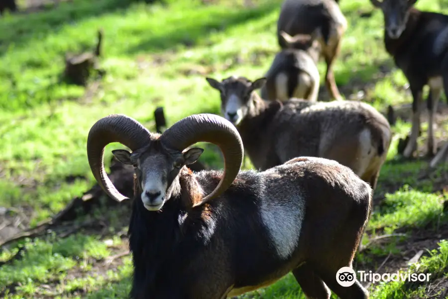 Ecological park Serra da Lousã