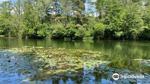 Swanwick Lakes Nature Reserve