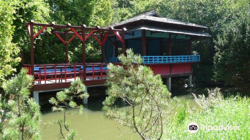 Alexandru Borza Botanical Garden