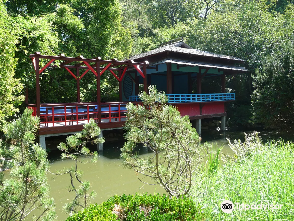 Alexandru Borza Botanical Garden