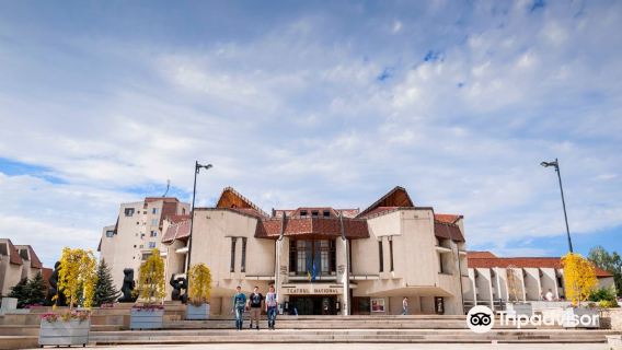Târgu Mureș National Theatre