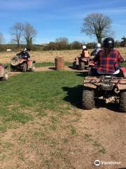 Bridgefield Buggies