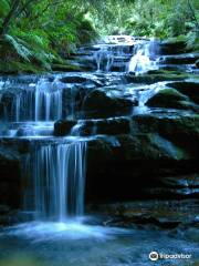 Leura Cascades Walking Track