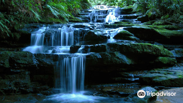 Leura Cascades Walking Track