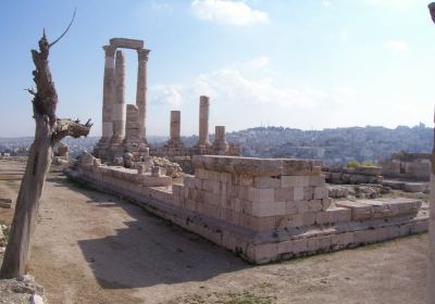 Museo archeologico della Giordania - Amman (Giordania)