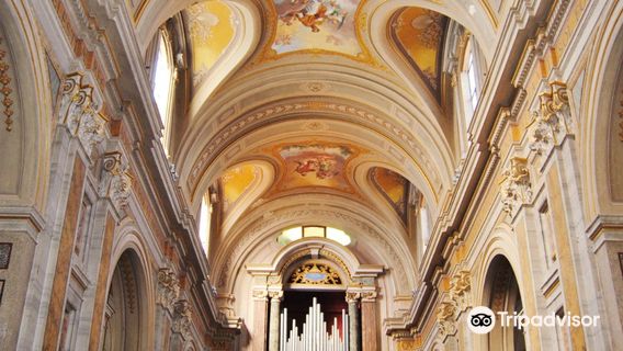 Co-Cathedral of the Assumption of Mary