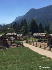 Tierwelt Rainguthof - Fattoria Rainguthof