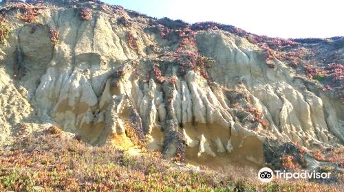 Mussel Rock Park