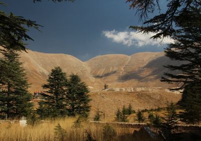 Cedars Of God Bsharri