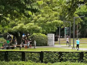 Legazpi Active Park