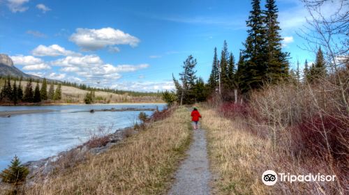 WhiteFish - BowRiver - ElkFlats Loop