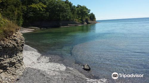 Point Petre Wildlife Conservation Area