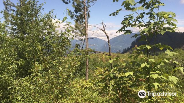 Sumas Mountain Inter-Regional Park