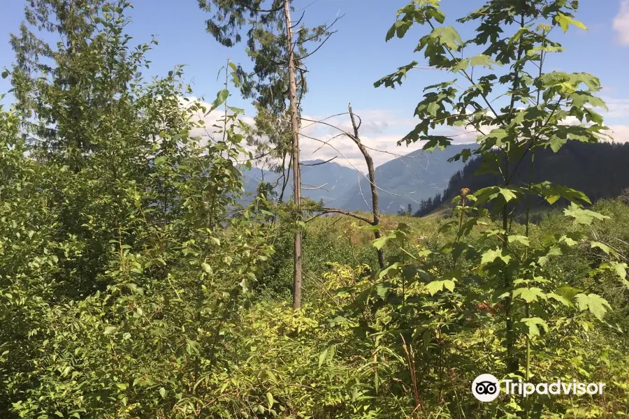 Sumas Mountain Inter-Regional Park