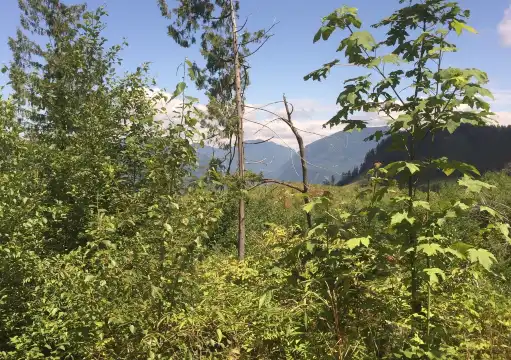 Hotels near Sumas Mountain Inter-Regional Park