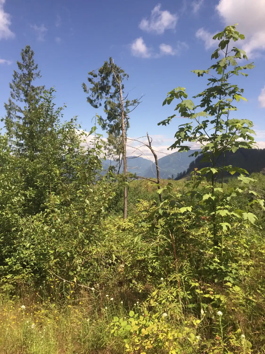 Hotels near Sumas Mountain Inter-Regional Park