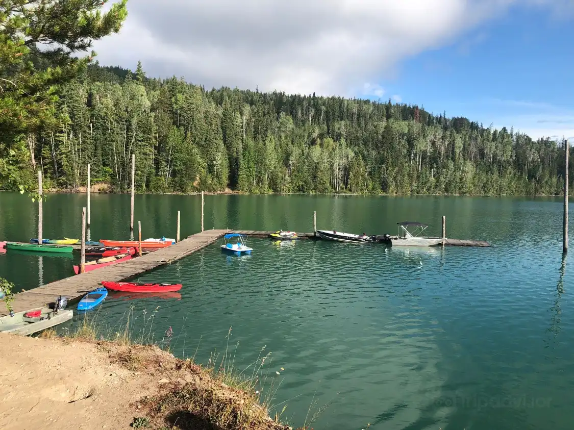 Hotels near Kinbasket Lake