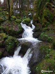 Saut du Bouchot