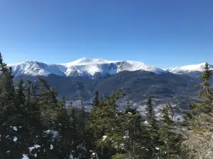 Wildcat Mountain