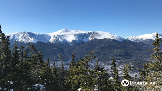 와일드캣 마운틴