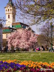 Szechenyi Square