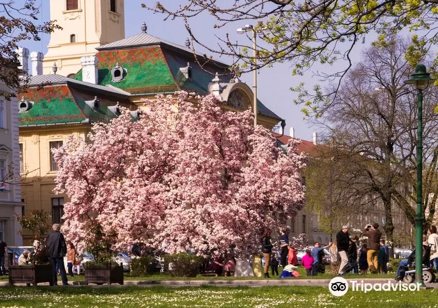 Szechenyi Square