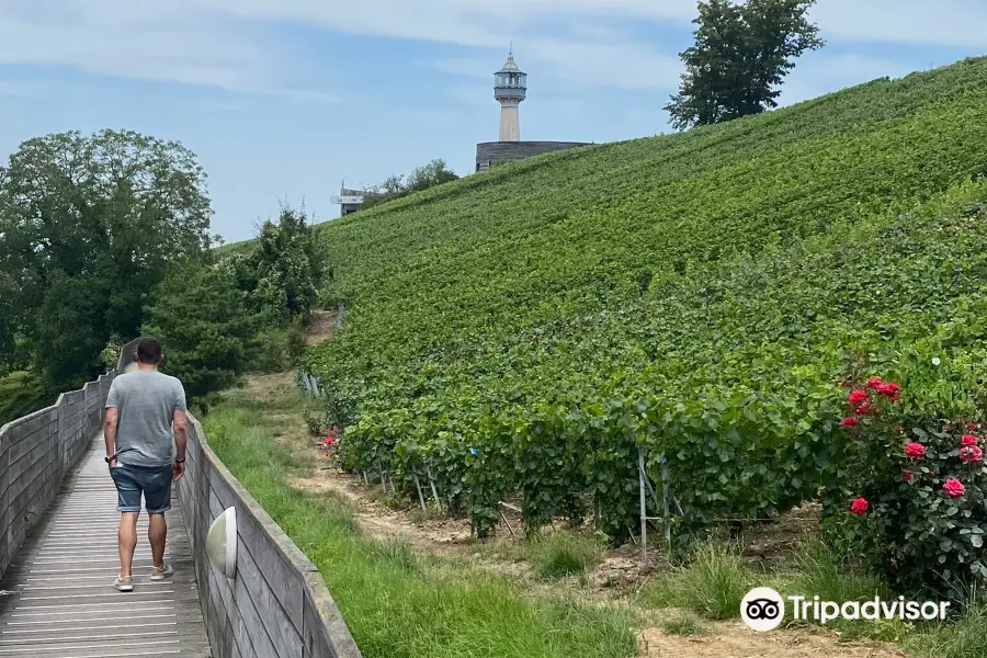 Le Phare de Vezernay