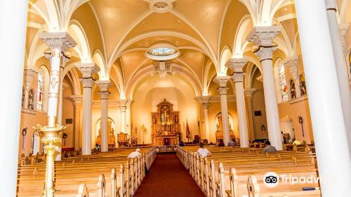 St. Mary's Roman Catholic Basilica