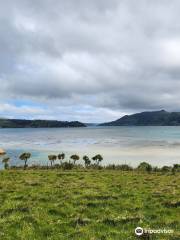 Quarantine Island / Kamau Taurua