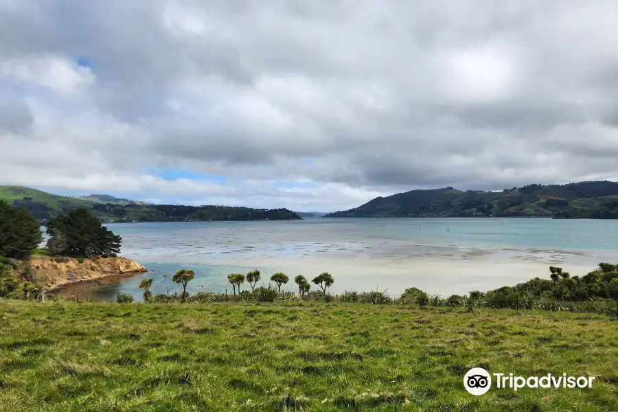 Quarantine Island / Kamau Taurua