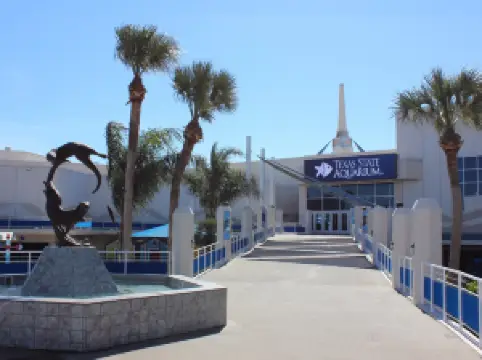 Аквариум Техас Стейт