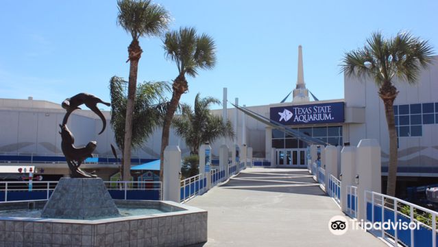 Texas State Aquarium