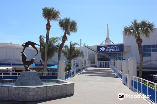 Texas State Aquarium