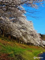 Kamanofuchi Park