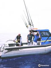 Marlin Queen Fishing Charters