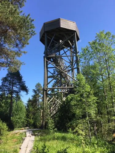 Tammela