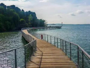 Chek Jawa Wetlands