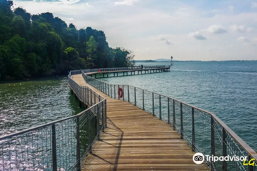 Chek Jawa Wetlands