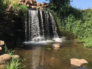 Coleman Park