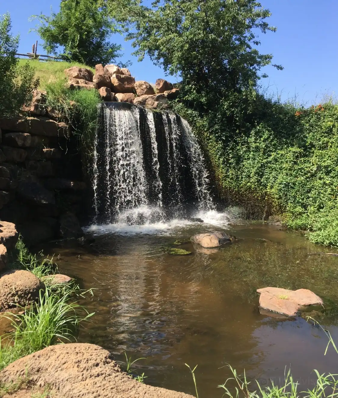 Hotels near Coleman Park