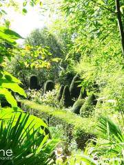 Jardin Agapanthe
