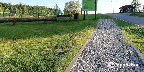 Trail of Wellness "Barefeet"