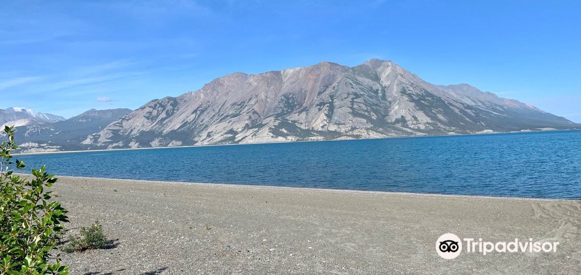 Things to Do in Destruction Bay in 2024 Top Attractions, Local Food, Hotels & Travel Tips