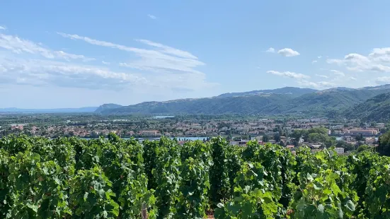 Le Petit Train des Vignes de l'Hermitage